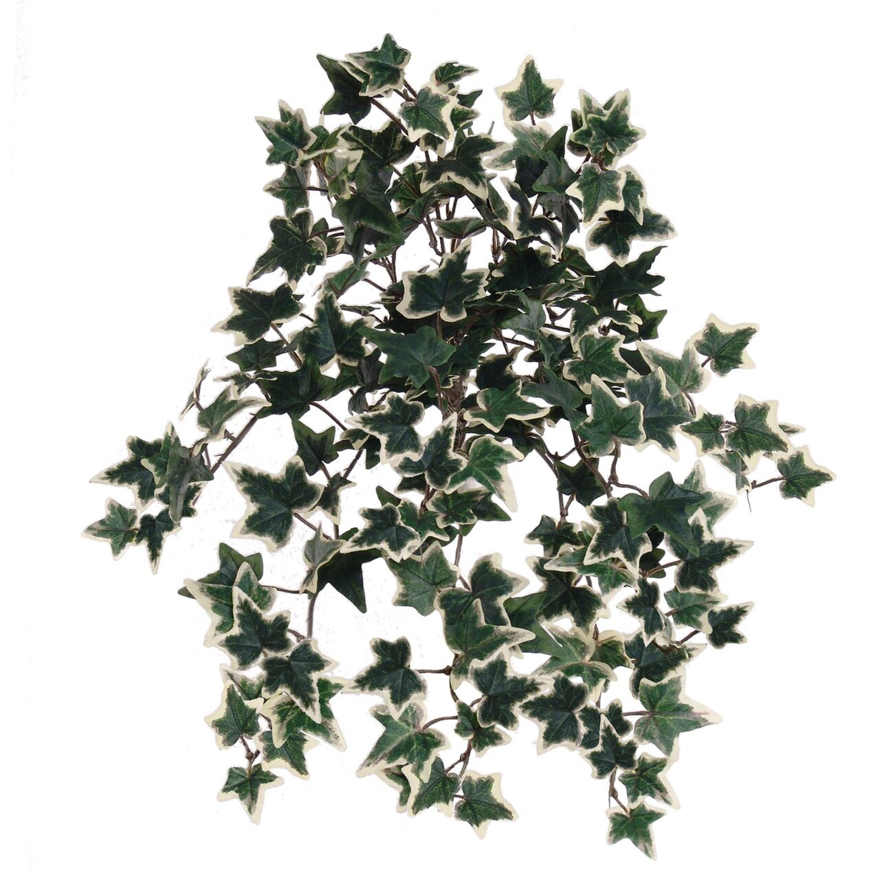 Mini Green & White English Ivy Bush with Silk Foliage, Floral Home by Artificial Flowers